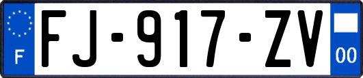 FJ-917-ZV