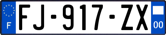 FJ-917-ZX