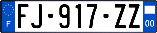 FJ-917-ZZ