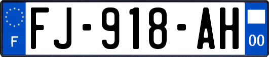 FJ-918-AH