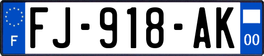 FJ-918-AK