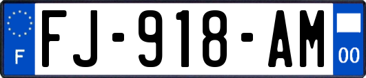 FJ-918-AM