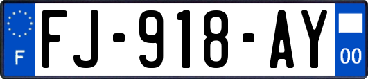 FJ-918-AY