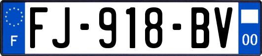 FJ-918-BV