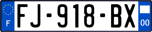 FJ-918-BX