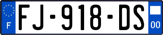 FJ-918-DS