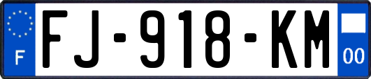 FJ-918-KM