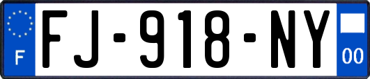 FJ-918-NY