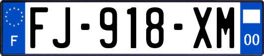 FJ-918-XM
