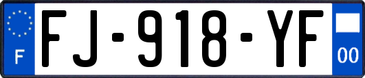 FJ-918-YF