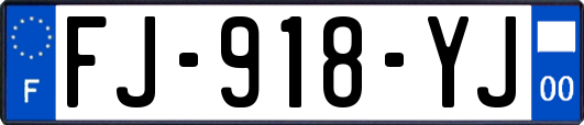 FJ-918-YJ