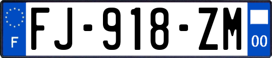 FJ-918-ZM