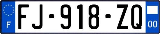 FJ-918-ZQ