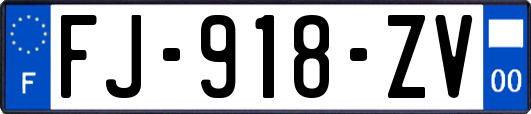 FJ-918-ZV