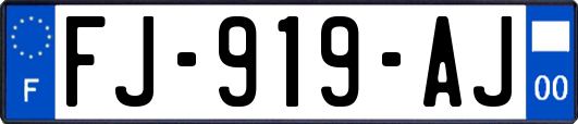 FJ-919-AJ