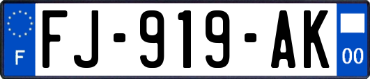 FJ-919-AK