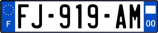 FJ-919-AM