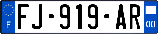 FJ-919-AR