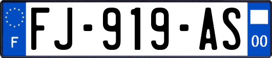 FJ-919-AS