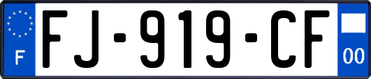 FJ-919-CF