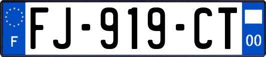 FJ-919-CT