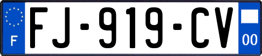 FJ-919-CV