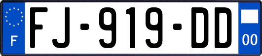 FJ-919-DD