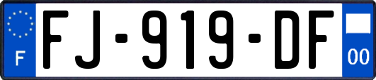 FJ-919-DF
