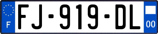 FJ-919-DL