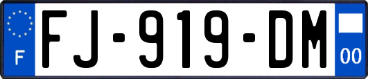 FJ-919-DM