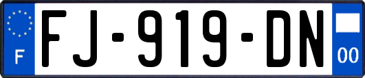 FJ-919-DN