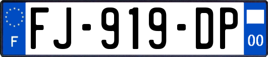 FJ-919-DP