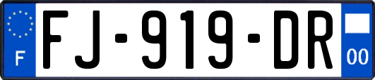 FJ-919-DR