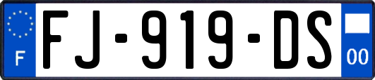 FJ-919-DS