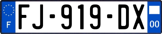 FJ-919-DX