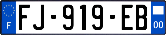 FJ-919-EB