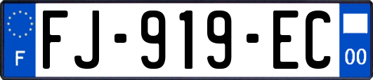 FJ-919-EC