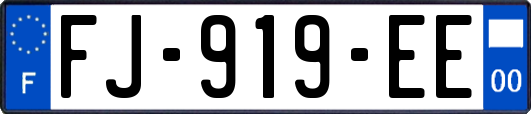FJ-919-EE
