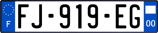 FJ-919-EG