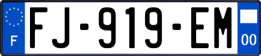 FJ-919-EM