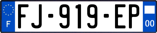 FJ-919-EP