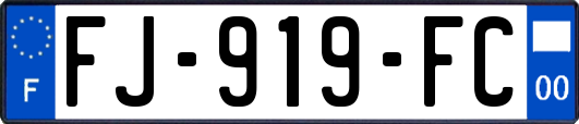 FJ-919-FC