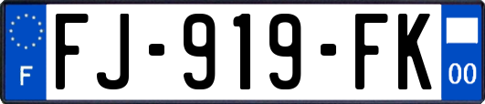 FJ-919-FK