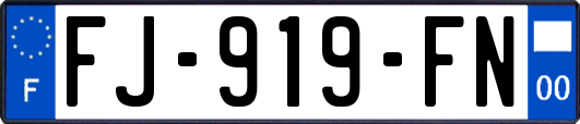 FJ-919-FN