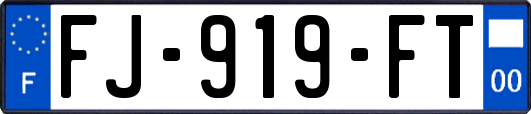 FJ-919-FT