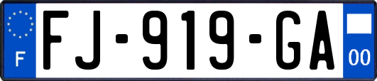 FJ-919-GA