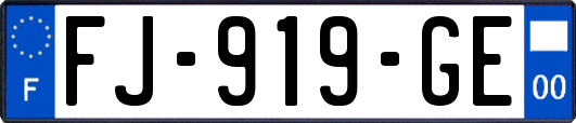 FJ-919-GE