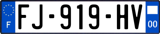 FJ-919-HV