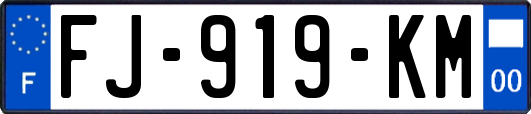 FJ-919-KM