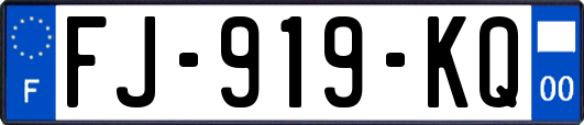 FJ-919-KQ